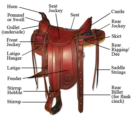 Parts of the Saddle - Synergist Saddles