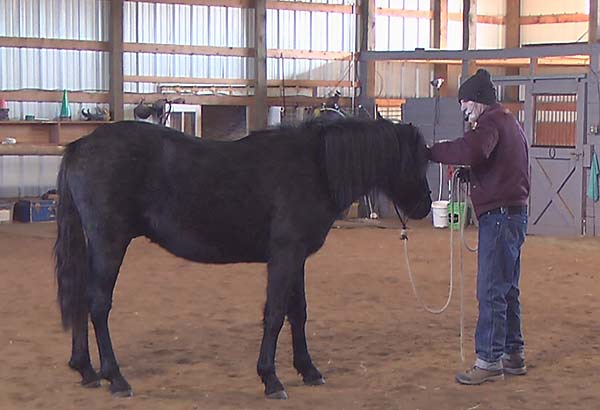 Dennis chills with Smokey