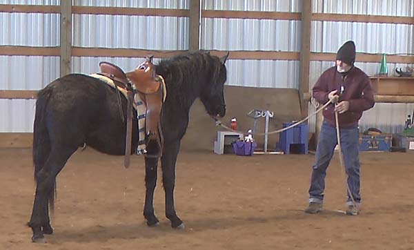 Dennis puts a saddle on Smokey