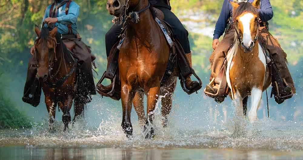 Horses running thru a river.