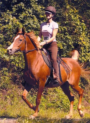 Two Point Position - Synergist Saddles