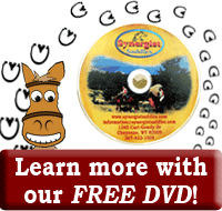 Custom Western Saddle DVD