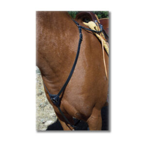 English-Breast-Collar-biothane