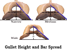 Saddle Trees ~ Gullet Height and Bar Spread