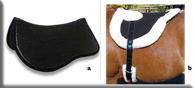 Supracor endurance and western Saddle Pad