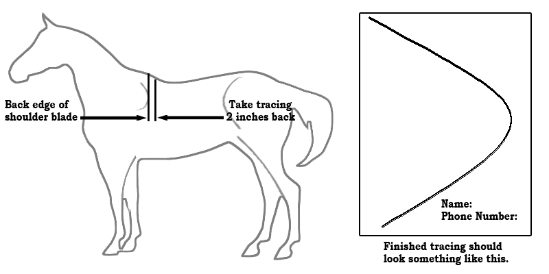 Horse or Mule Wither Tracing