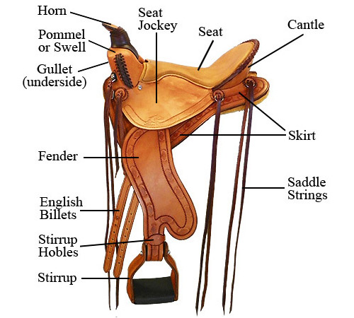 Parts of a Trail Saddle